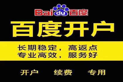 实战解析：SEM竞价策略优化案例
